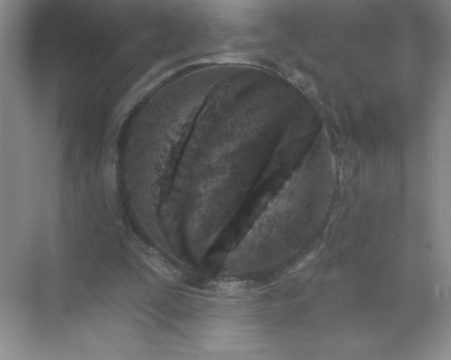 X0000071940295200607212207