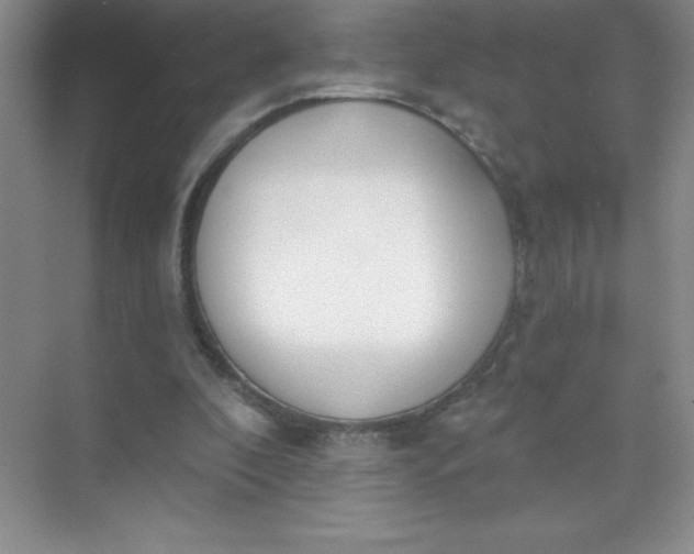 X0000071940296200607212207