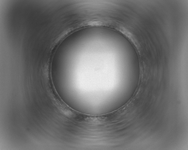 X0000071940297200607212207