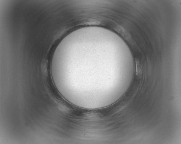 X0000071940300200607212207