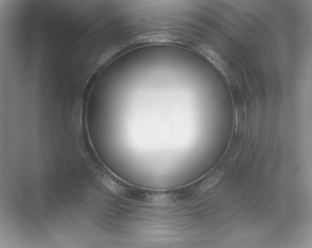 X0000071940301200607212207