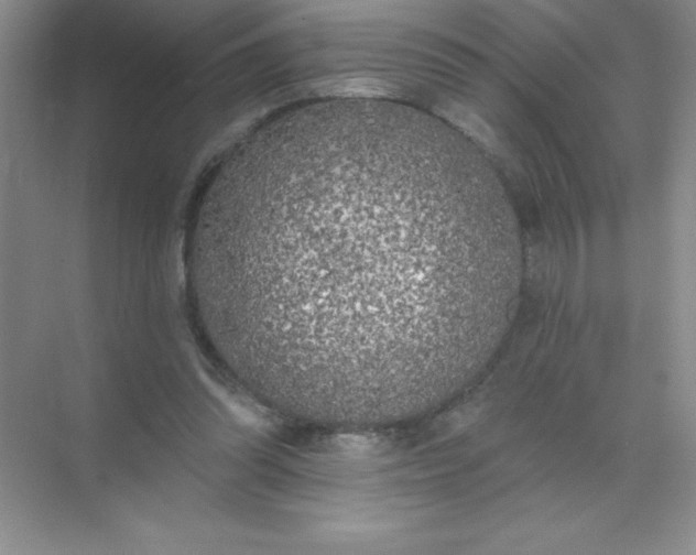 X0000071940302200607212207