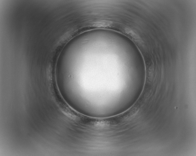 X0000071940303200607212207