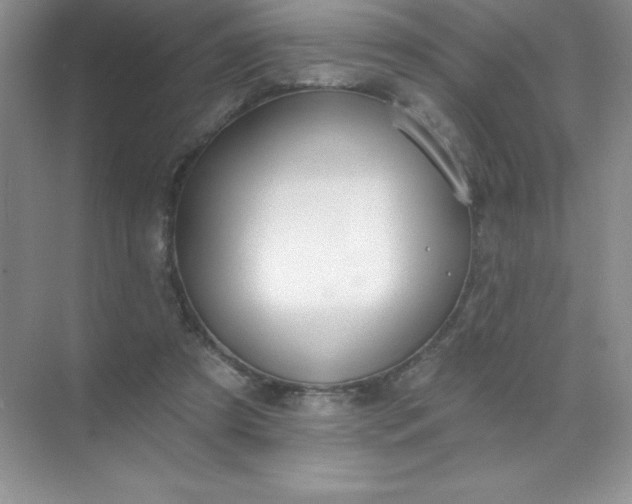 X0000071940305200607212207