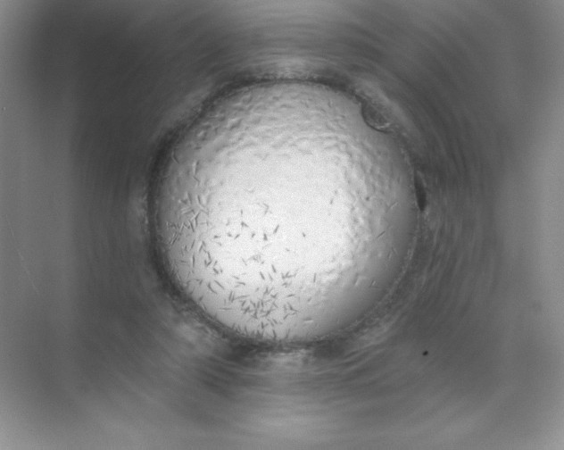 X0000071940306200607212207