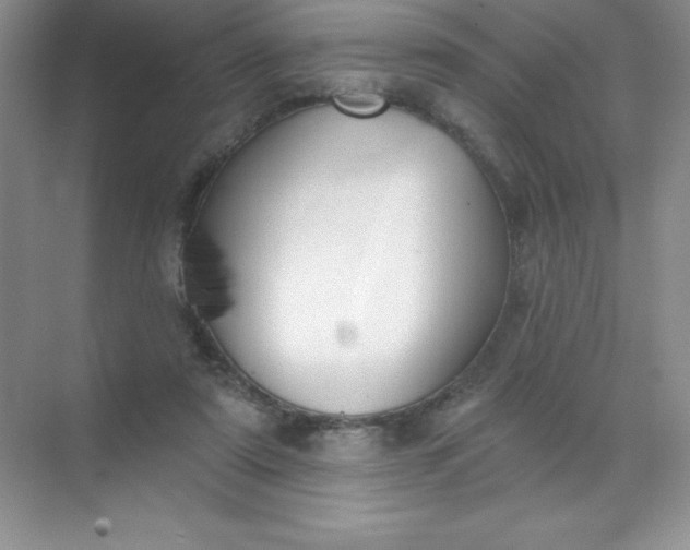 X0000071940307200607212207