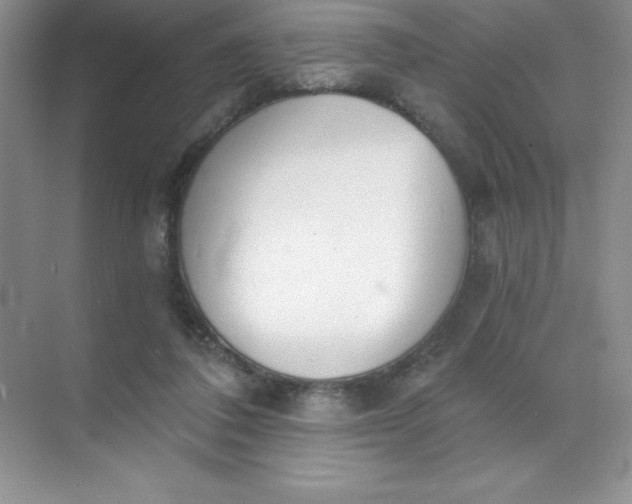 X0000071940308200607212207