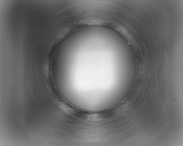 X0000071940309200607212207