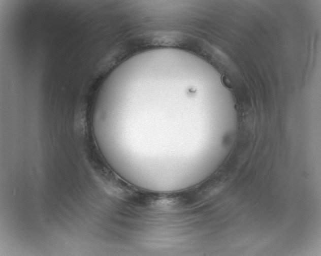 X0000071940312200607212207