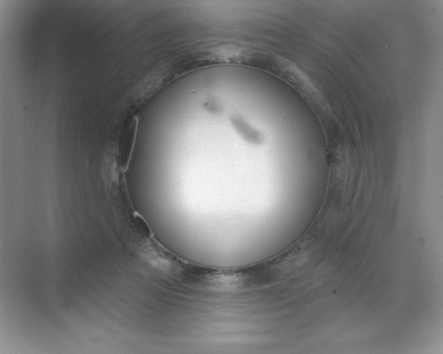 X0000071940313200607212207