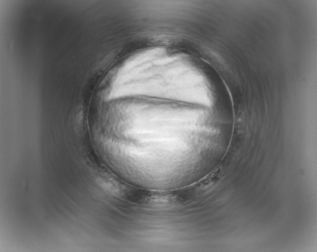 X0000071940314200607212207