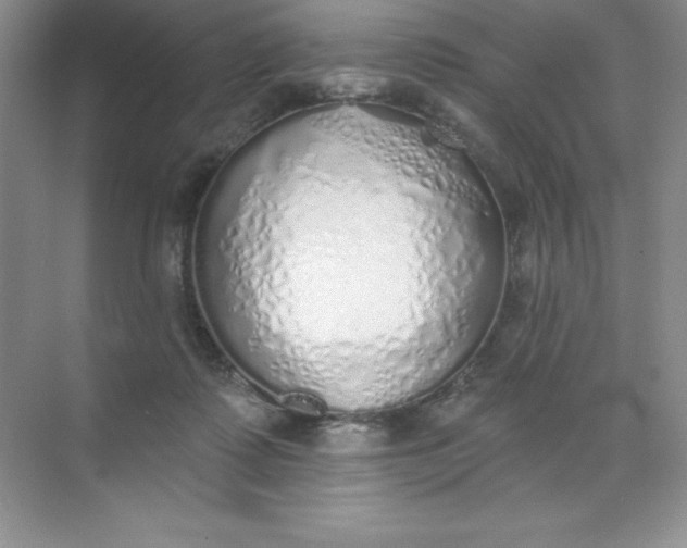 X0000071940315200607212207