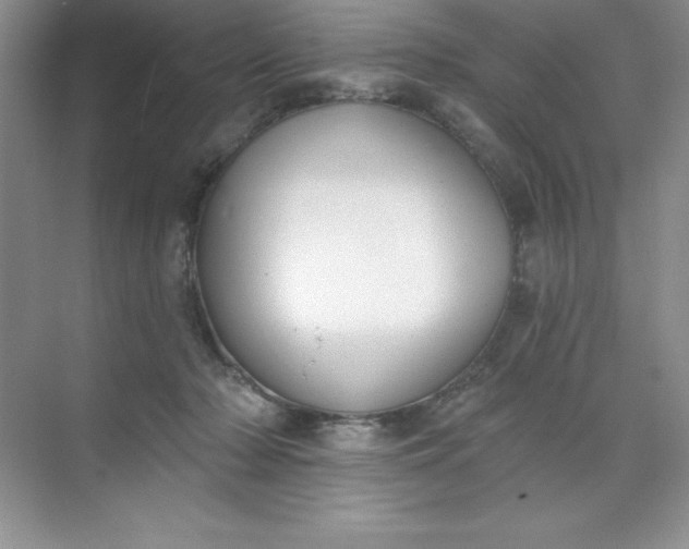 X0000071940318200607212207