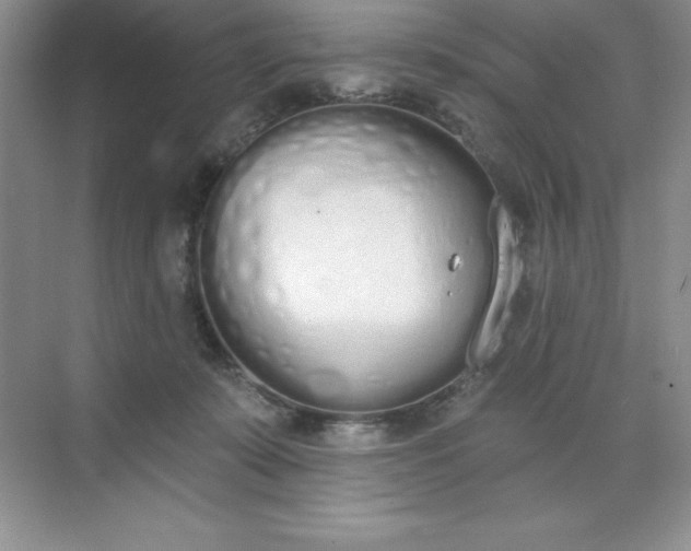 X0000071940319200607212207