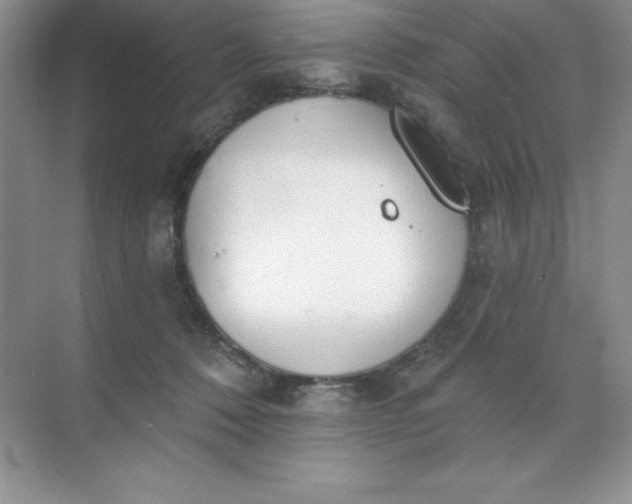 X0000071940320200607212207