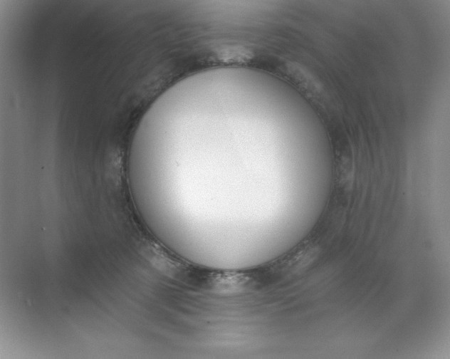 X0000071940321200607212207