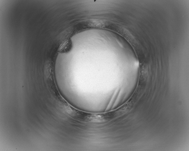 X0000071940322200607212207