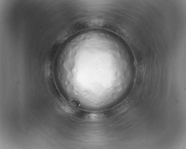 X0000071940323200607212207