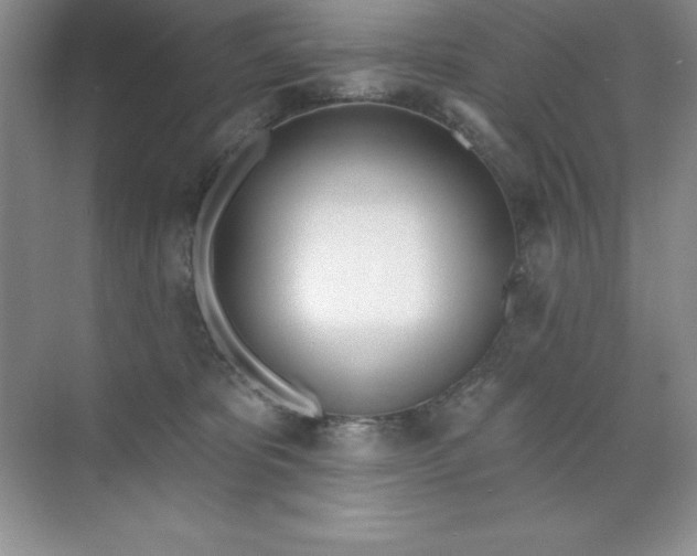 X0000071940325200607212207