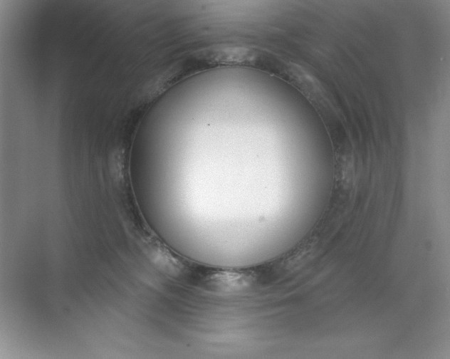 X0000071940326200607212207