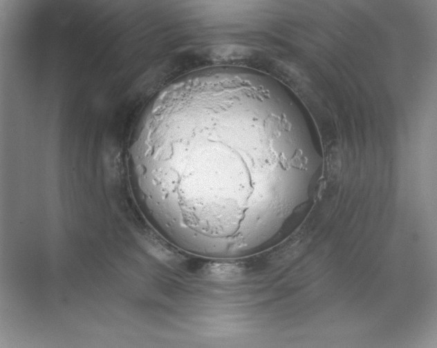 X0000071940327200607212207