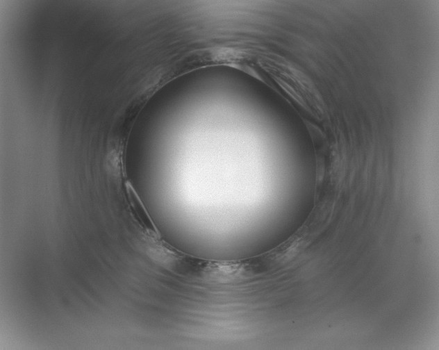 X0000071940329200607212207