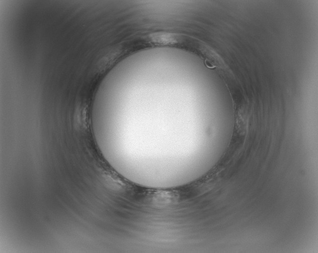 X0000071940330200607212207