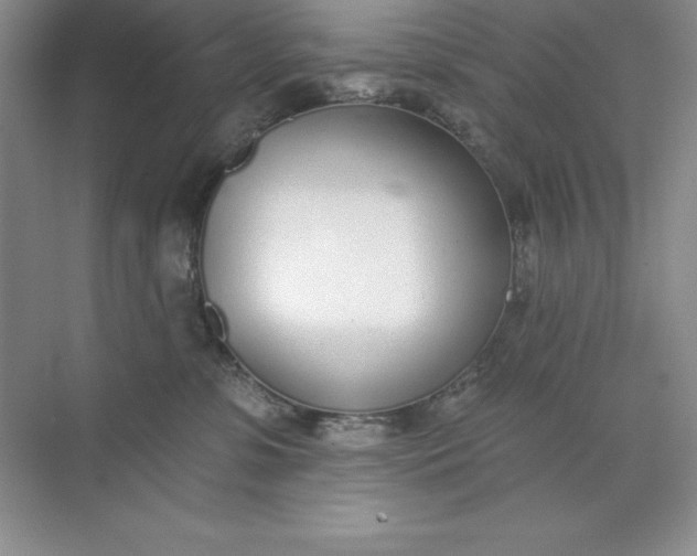 X0000071940331200607212207