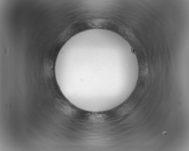 X0000071940332200607212207