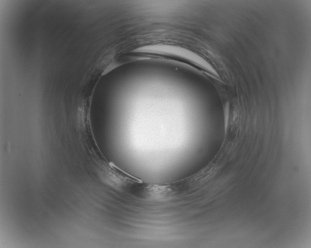 X0000071940333200607212207