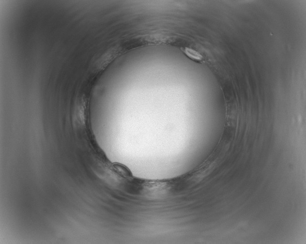 X0000071940334200607212207