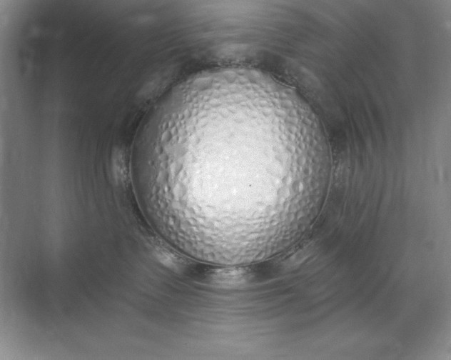 X0000071940335200607212207