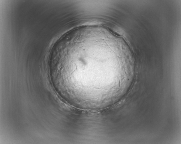 X0000071940337200607212206