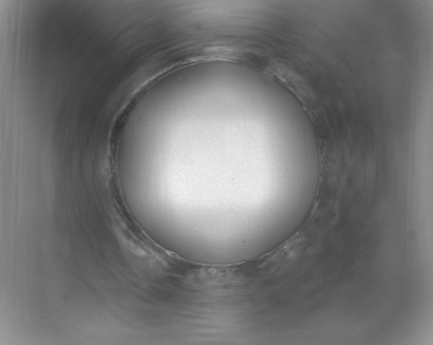 X0000071940338200607212206