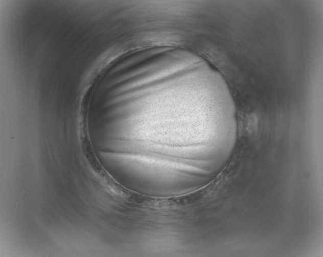 X0000071940339200607212206