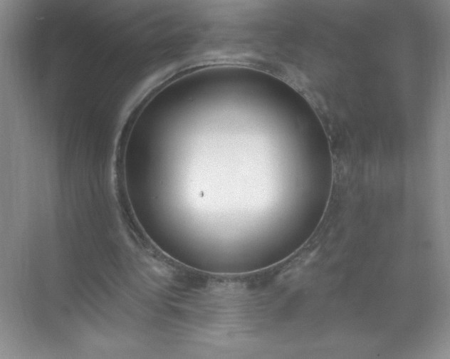 X0000071940340200607212206