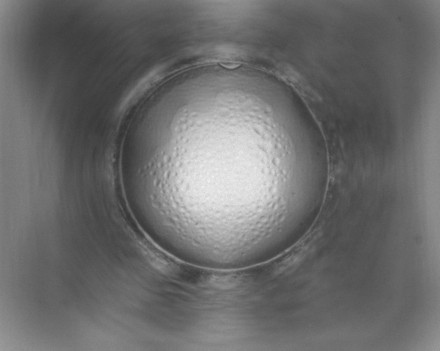 X0000071940341200607212206