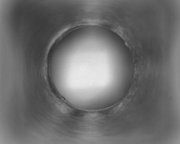 X0000071940342200607212206