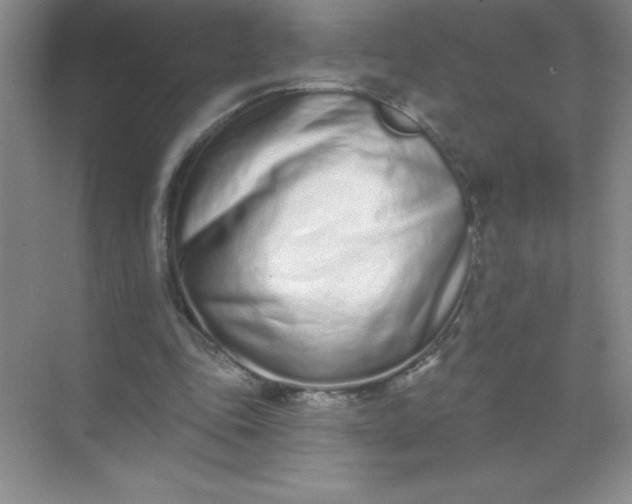 X0000071940343200607212206