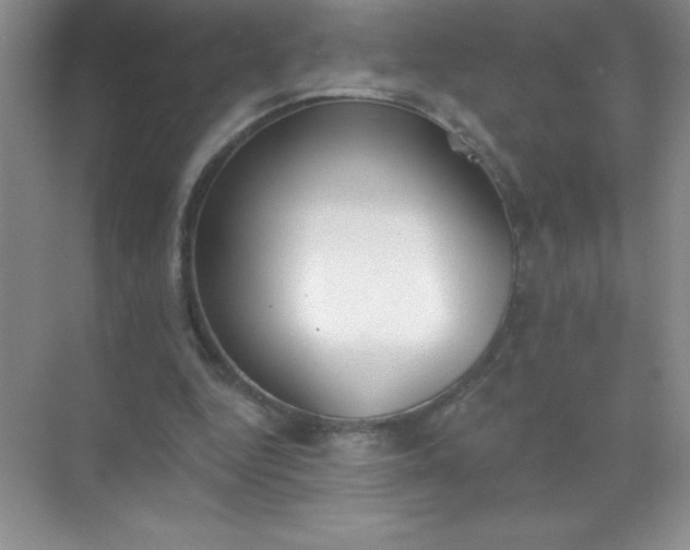 X0000071940344200607212206