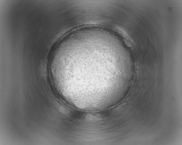 X0000071940346200607212206