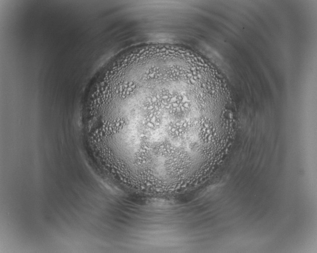 X0000071940347200607212206