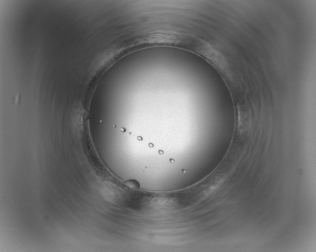 X0000071940348200607212206