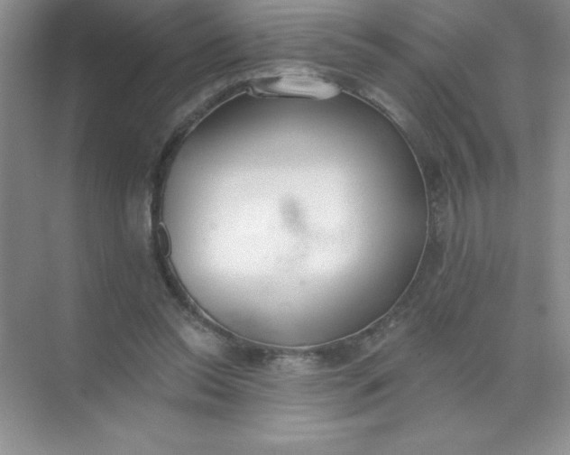 X0000071940350200607212206