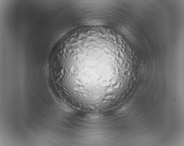 X0000071940351200607212206