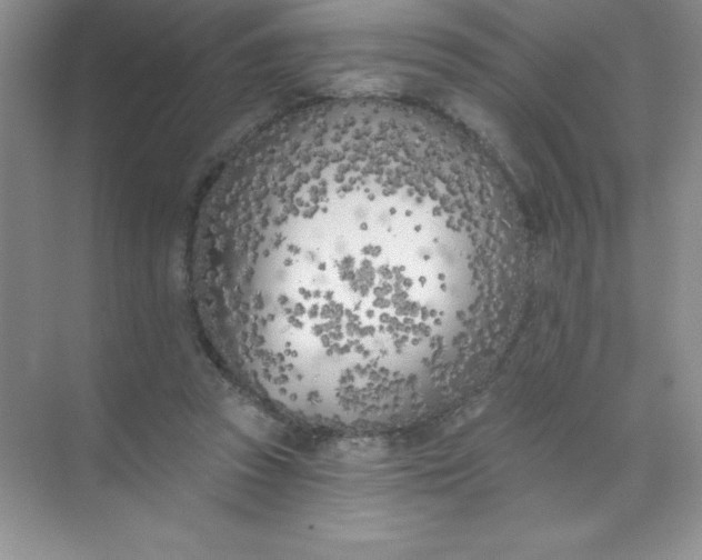 X0000071940353200607212206