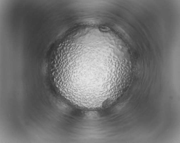 X0000071940355200607212206