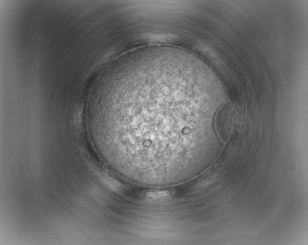 X0000071940357200607212206