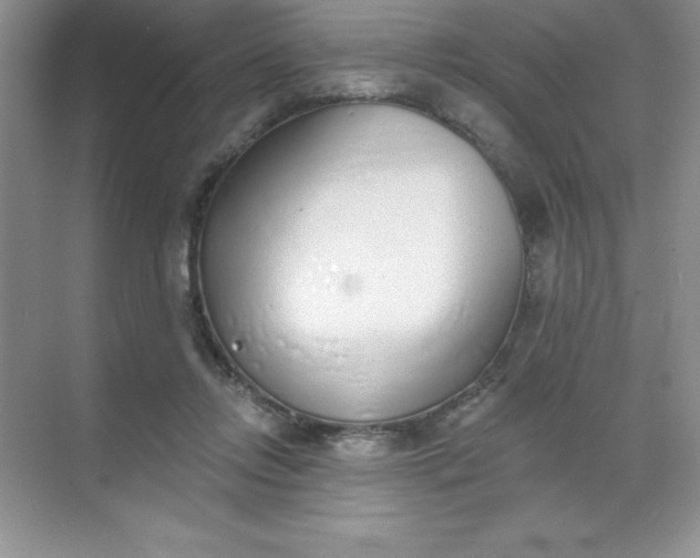 X0000071940358200607212206