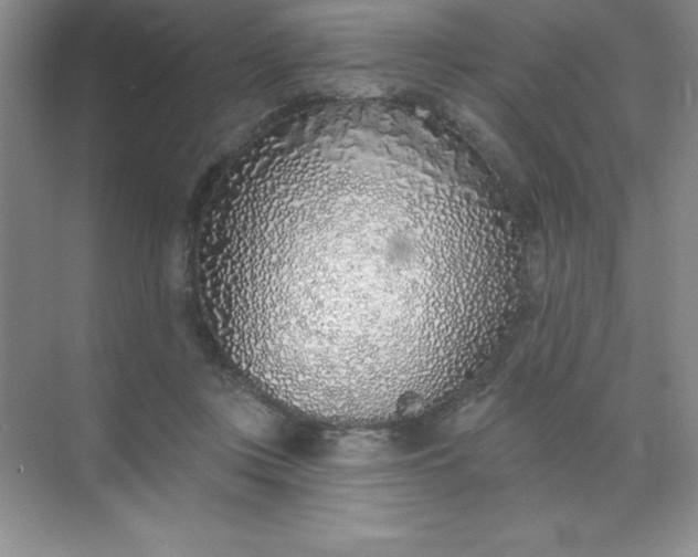 X0000071940359200607212206